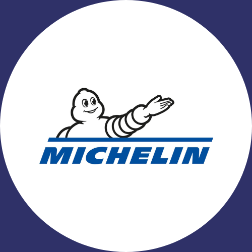 Michelin Tire Logo in Blue Square Icon